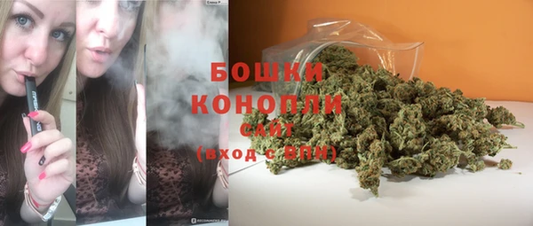 гидра Белокуриха
