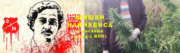 гидра Белокуриха